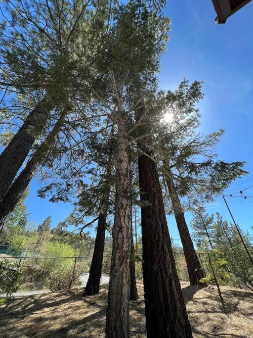 Summit: Discover Serenity In This Cozy Cabin With Mountain Views! Villa Big Bear Lake Exterior foto